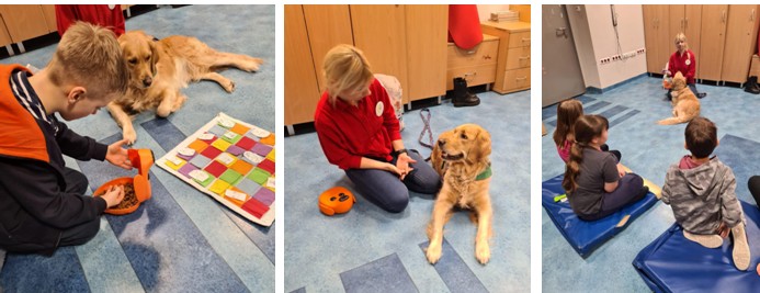 Zrzut ekranu 2025 01 24 101935