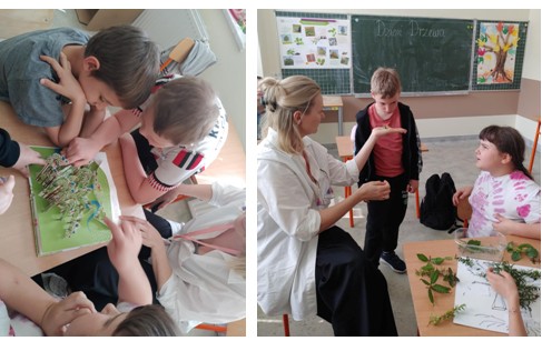 Zrzut ekranu 2025 06 01 093049