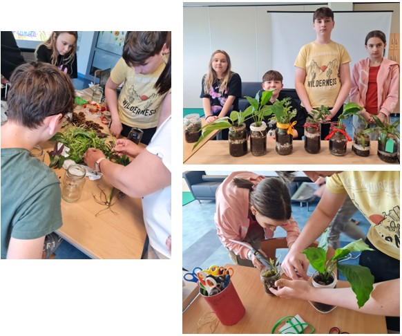 Zrzut ekranu 2025 06 01 093447