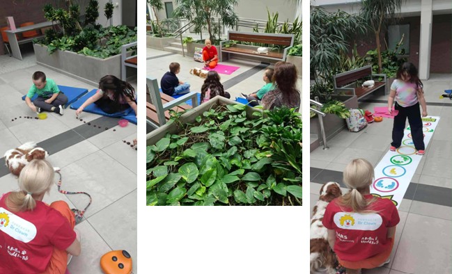 Zrzut ekranu 2025 09 24 115619